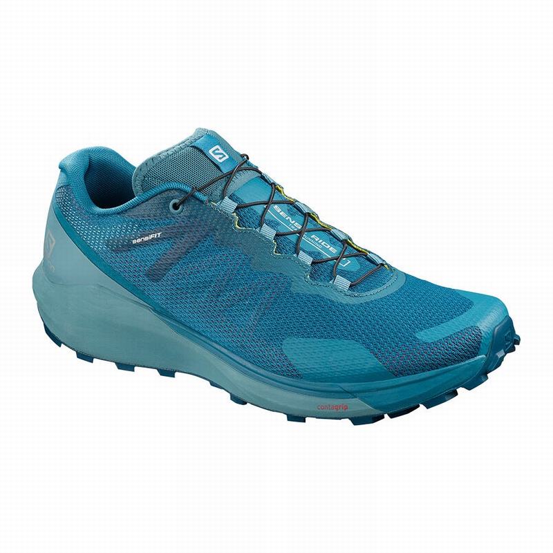 Salomon Israel SENSE RIDE 3 - Mens Running Shoes - Blue (REQD-42716)